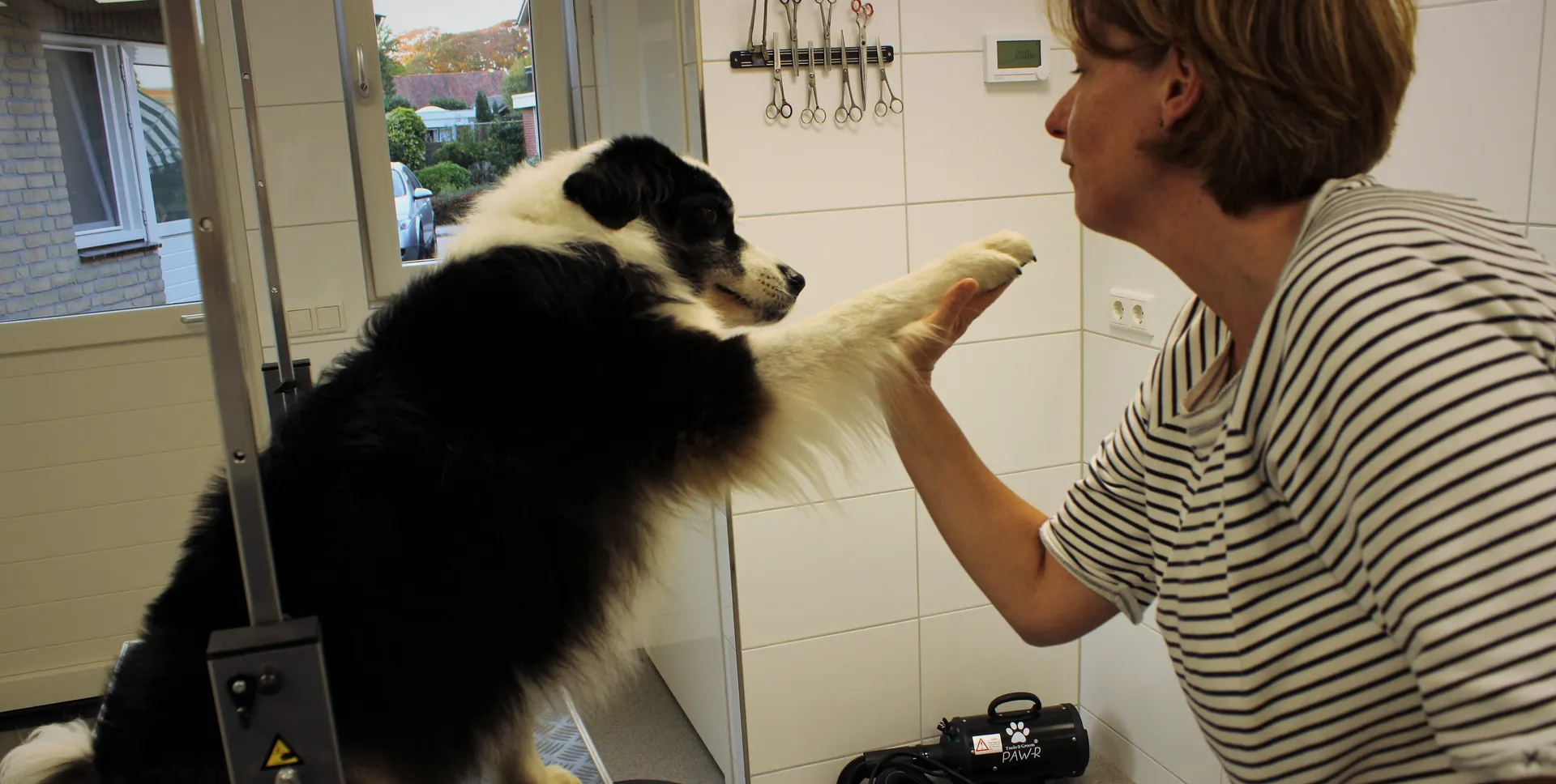 Over Hondentrimsalon Hengevelde